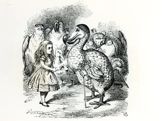 Alice Meets the Dodo, Illustration from 